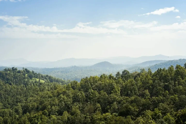 Planificar tu viaje de senderismo en Cantabria: Lo que necesitas saber